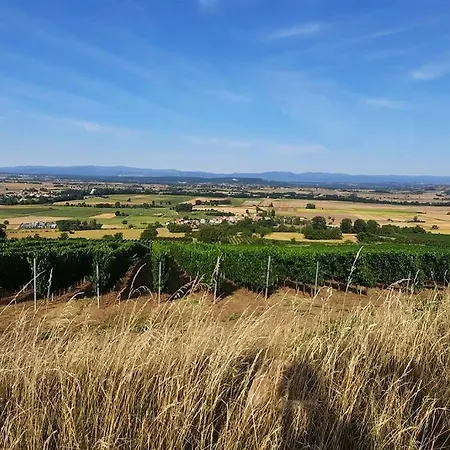 Maison Au Calme Avec Terrasse, Climatise * Vertaizon